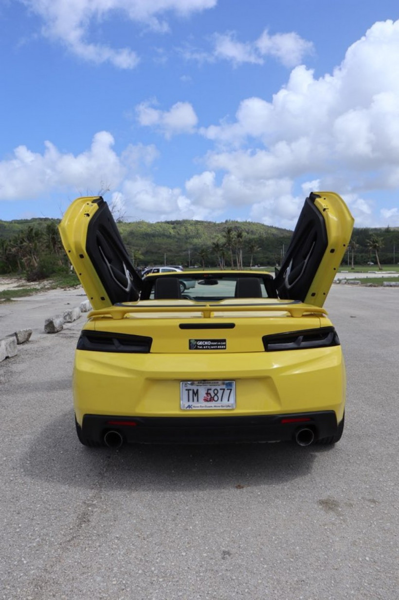 dd4918d92e124994de1de6a3a0ffc0fc_1525236722_6431.jpg